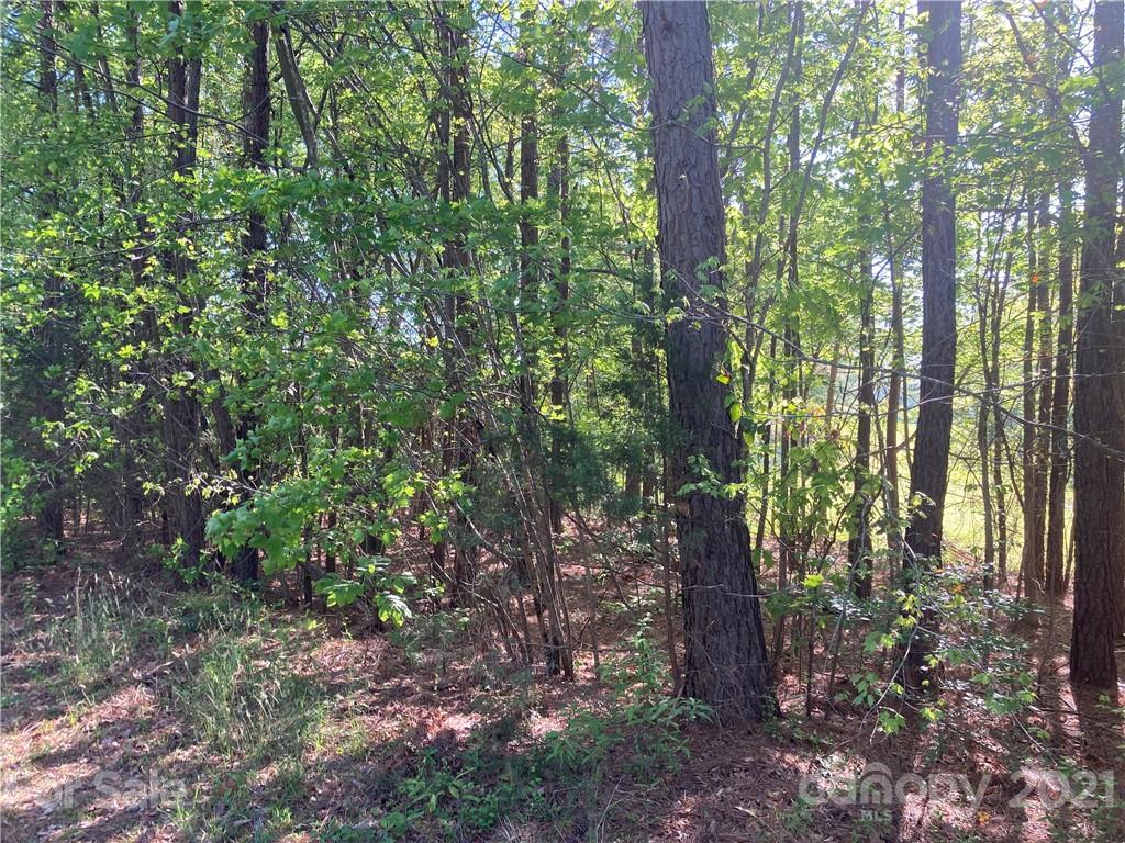6155 Hopewell Road Hickory Grove, SC 29717 - Photo 11 of 15 a view of forest
