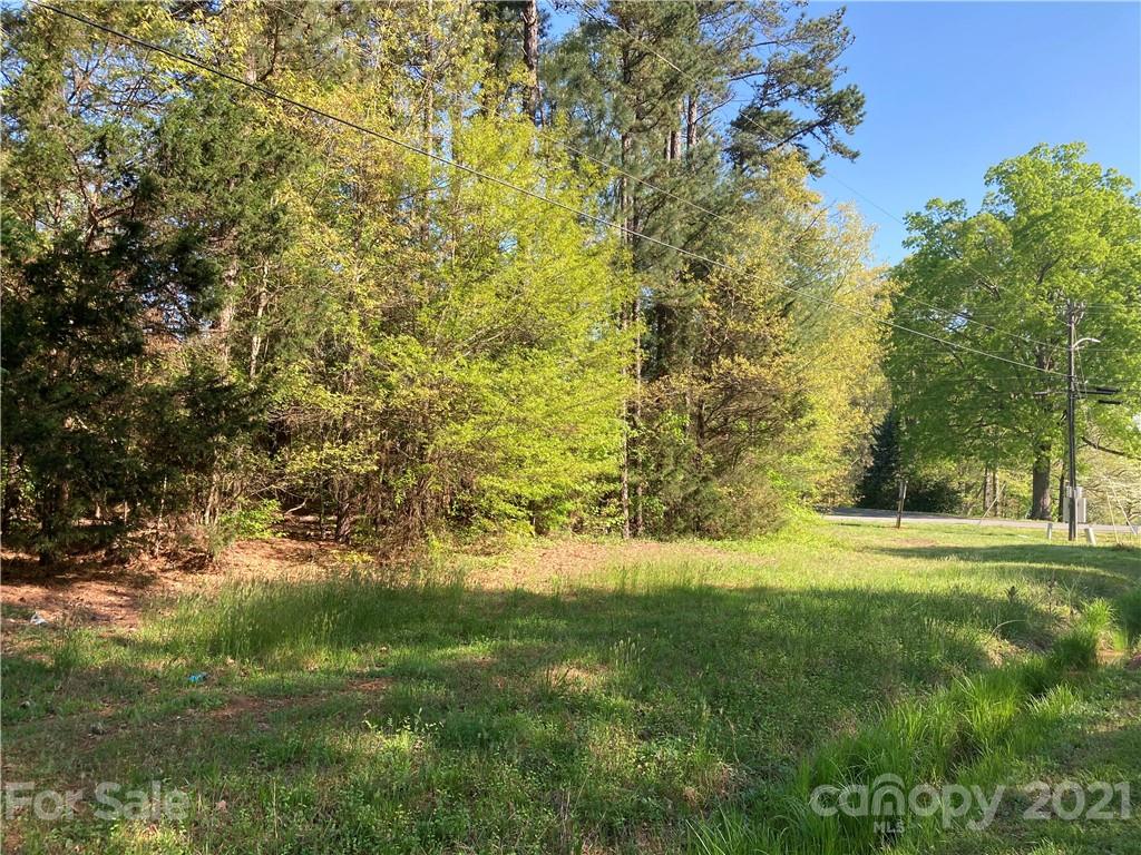 6155 Hopewell Road Hickory Grove, SC 29717 - Photo 12 of 15 a view of yard with green space