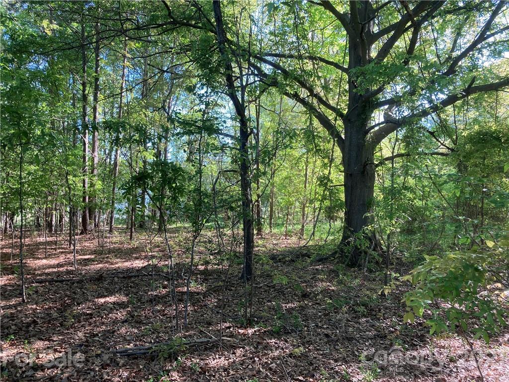 6155 Hopewell Road Hickory Grove, SC 29717 - Photo 3 of 15 a view of outdoor space and trees