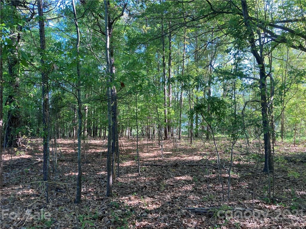 6155 Hopewell Road Hickory Grove, SC 29717 - Photo 4 of 15 a view of outdoor space with trees
