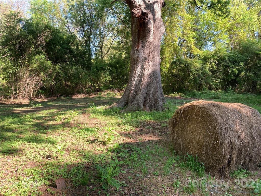 6155 Hopewell Road Hickory Grove, SC 29717 - Photo 5 of 15 a view of a yard with a tree
