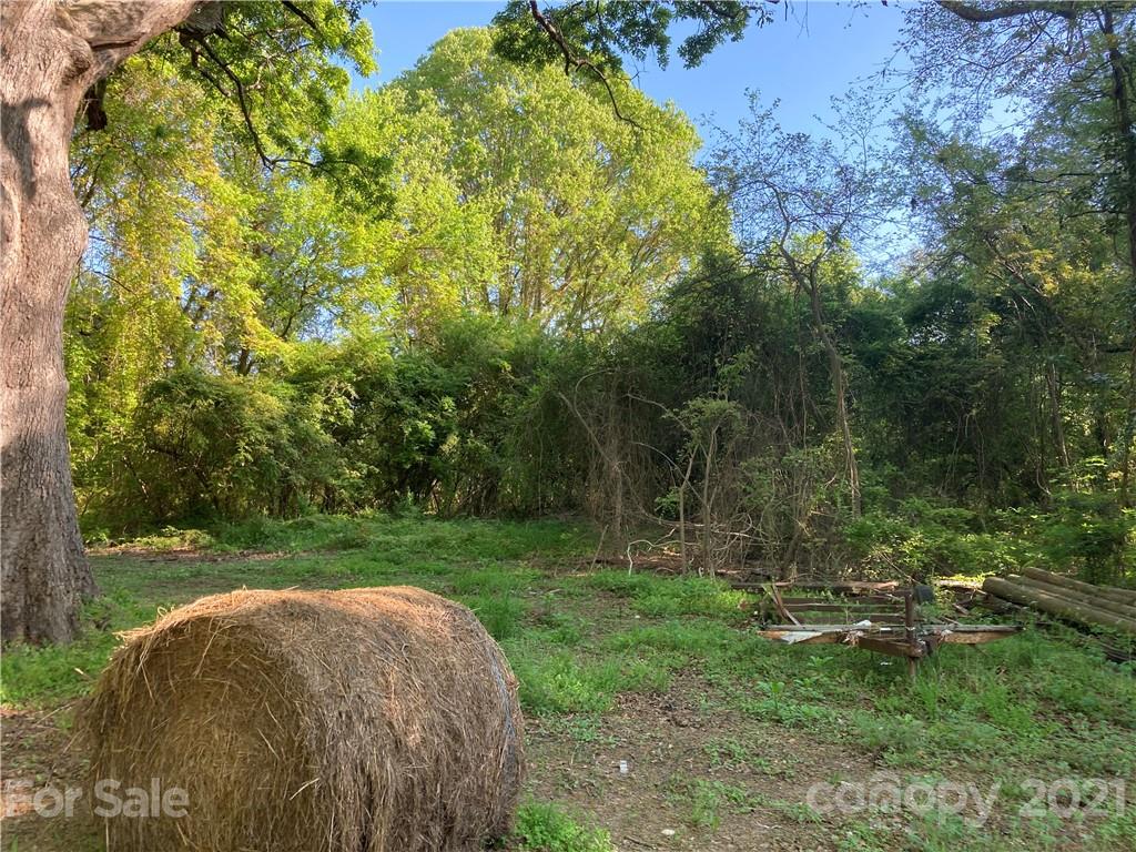 6155 Hopewell Road Hickory Grove, SC 29717 - Photo 6 of 15 a view of a backyard