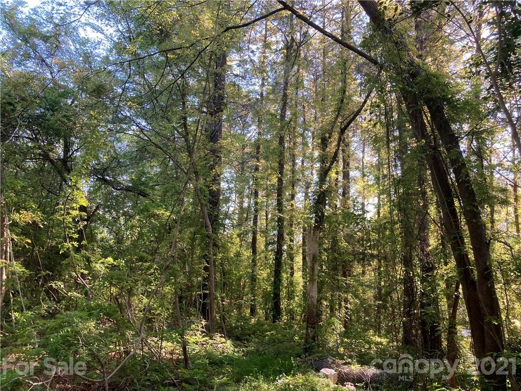 6155 Hopewell Road Hickory Grove, SC 29717 - Photo 7 of 15 a view of forest