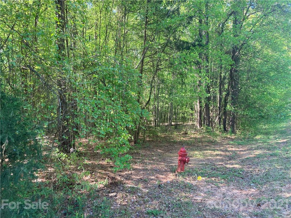 6155 Hopewell Road Hickory Grove, SC 29717 - Photo 10 of 15 a backyard of a house with fire pit and outdoor seating