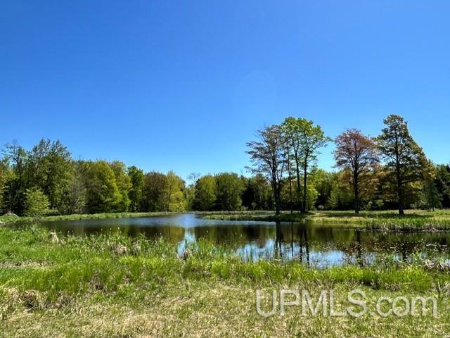 Tbd Tbd Bellaire Road Baraga, MI 49908 - Photo 34 of 49