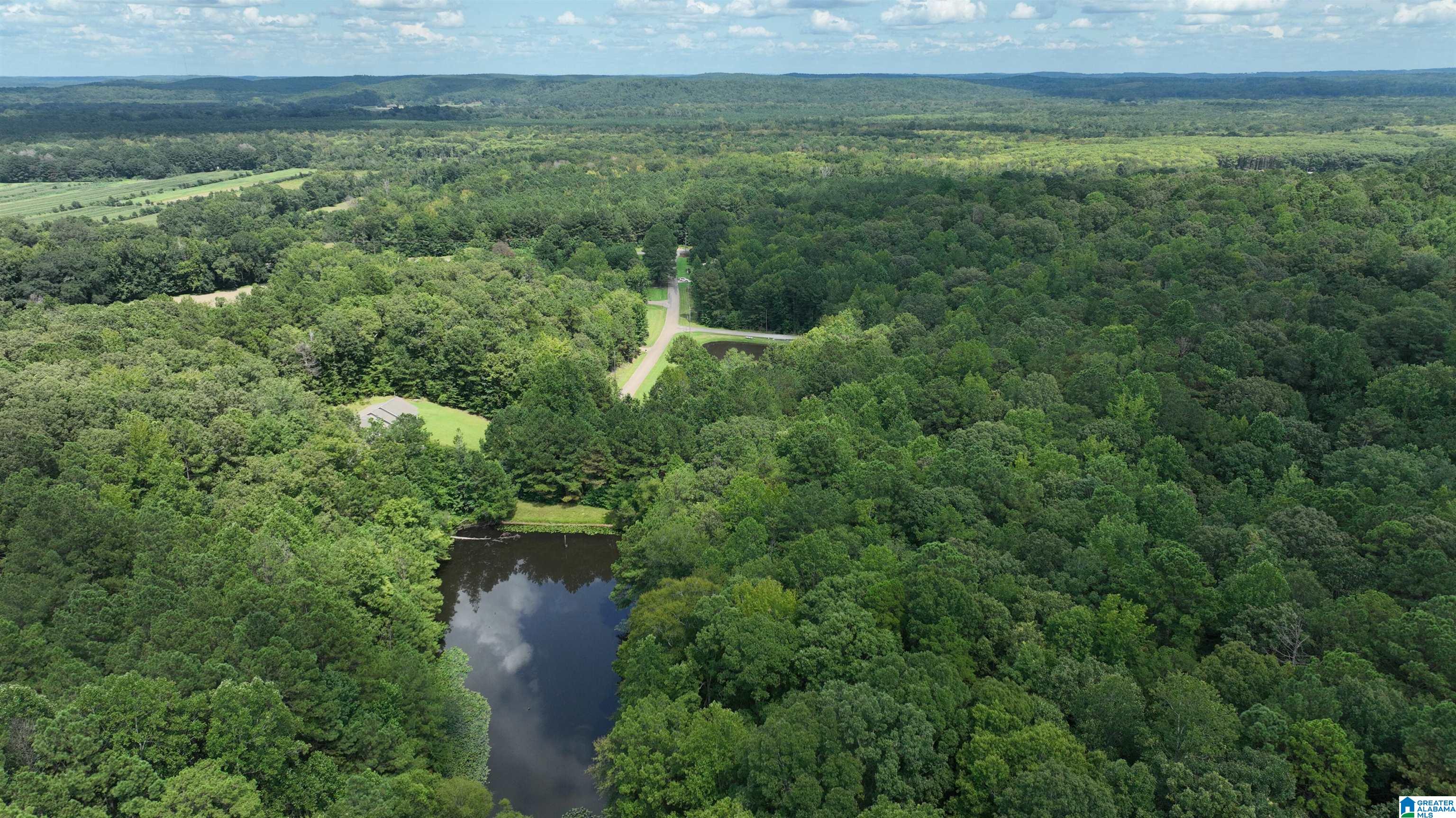 0 Oak Creek Road Fayette, AL 35555 - Photo 10 of 12