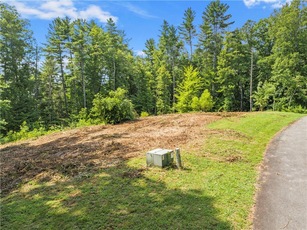 0 Forest Ridge Road, Unit 6 Mars Hill, NC 28754 - Photo 2 of 15 a view of a yard