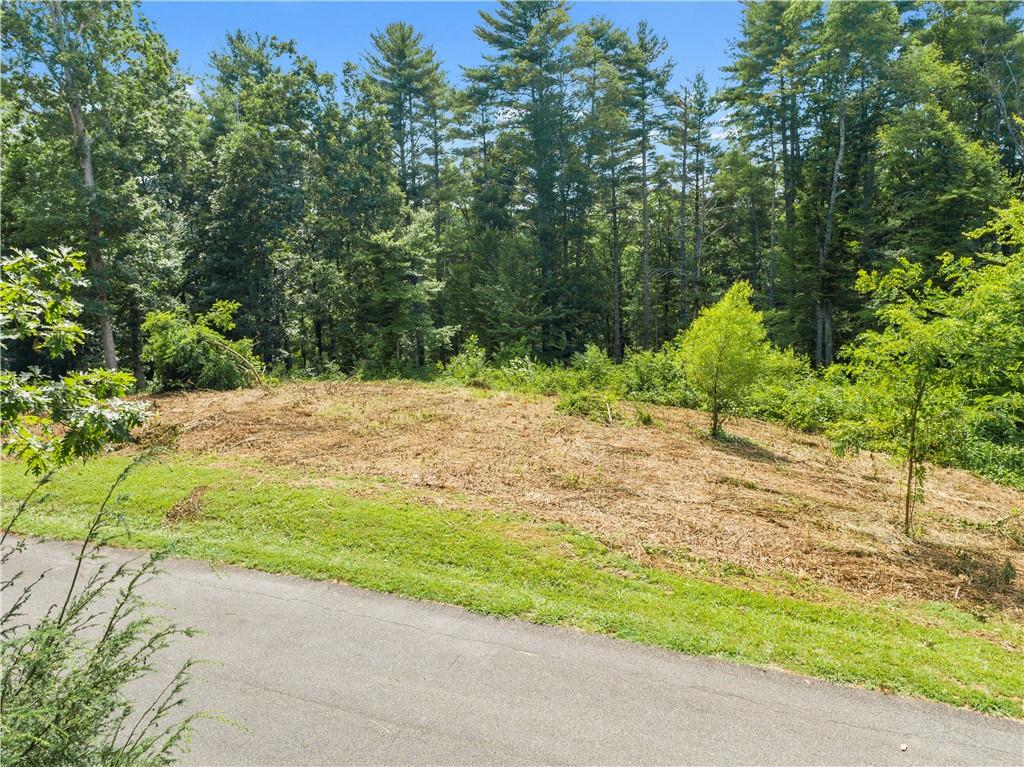 0 Forest Ridge Road, Unit 6 Mars Hill, NC 28754 - Photo 3 of 15 a view of a yard with plants and trees