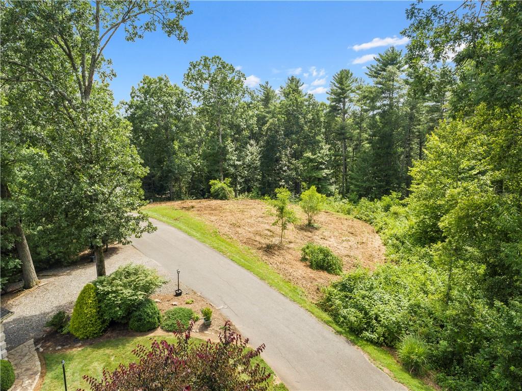 0 Forest Ridge Road, Unit 6 Mars Hill, NC 28754 - Photo 4 of 15 a view of a yard with plants