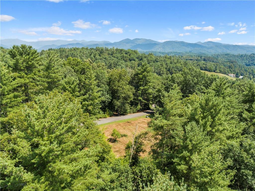 0 Forest Ridge Road, Unit 6 Mars Hill, NC 28754 - Photo 5 of 15 a view of a yard