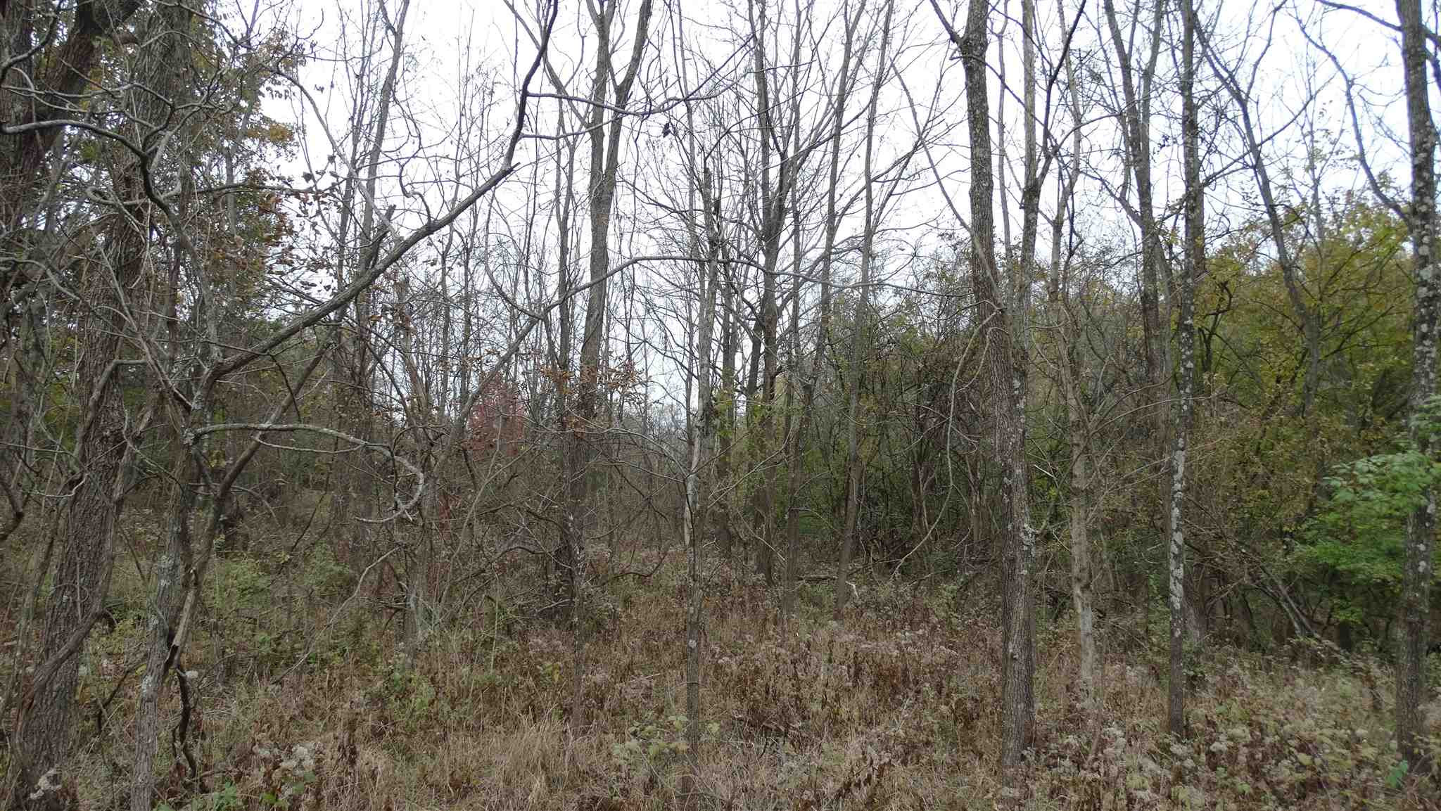 Percival Road Walton, KY 41094 - Photo 9 of 19 Gallery Image 9
