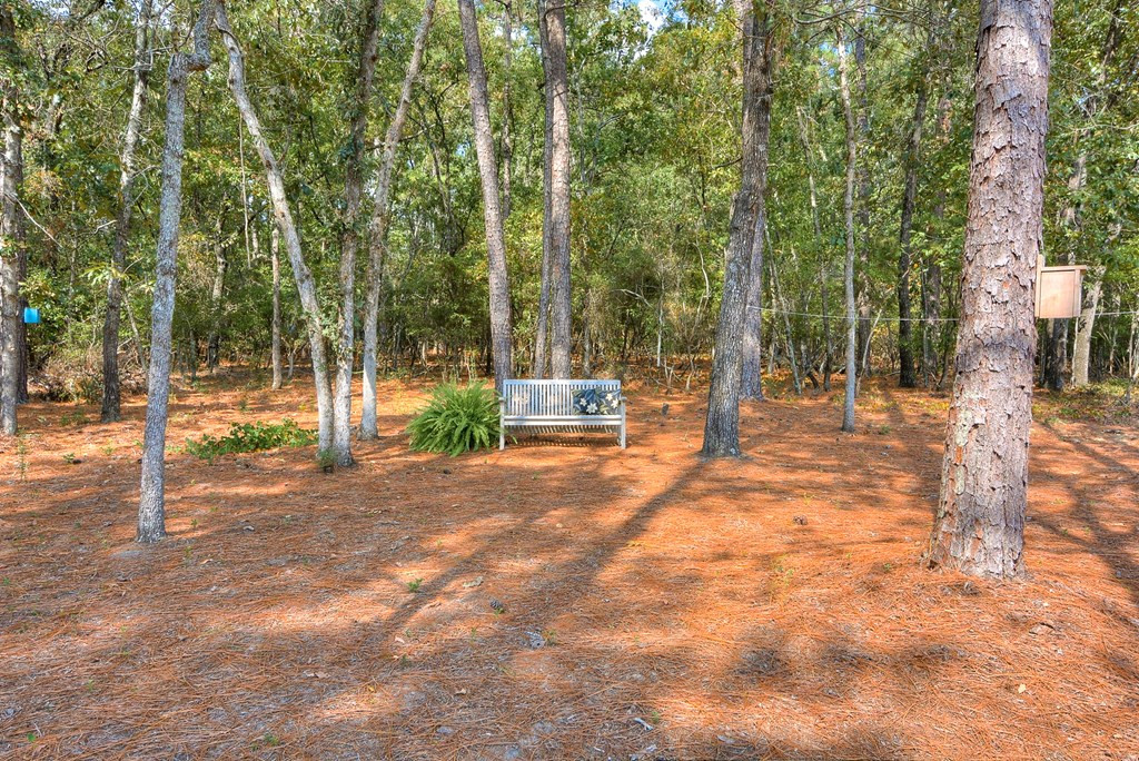 731 Wrights Mill Road Aiken, SC 29801 - Photo 29 of 29
