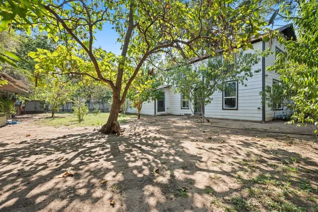 a view of a yard with plants and trees