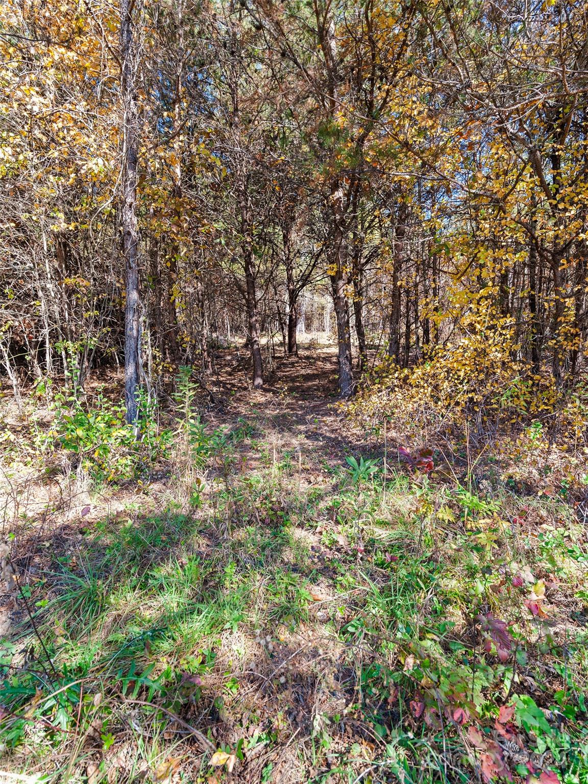 30 Ratcliff Ridge Road Alexander, NC 28701 - Photo 43 of 45 Gallery Image 43