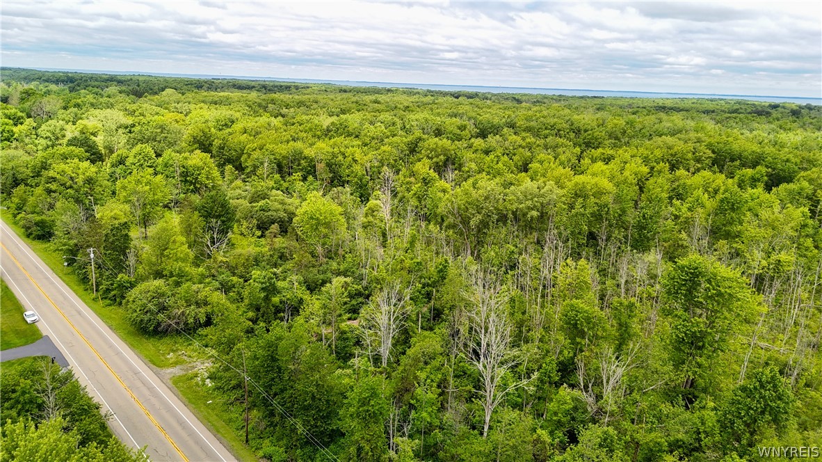 Lakeview Road Hamburg, NY 14075 - Photo 13 of 14