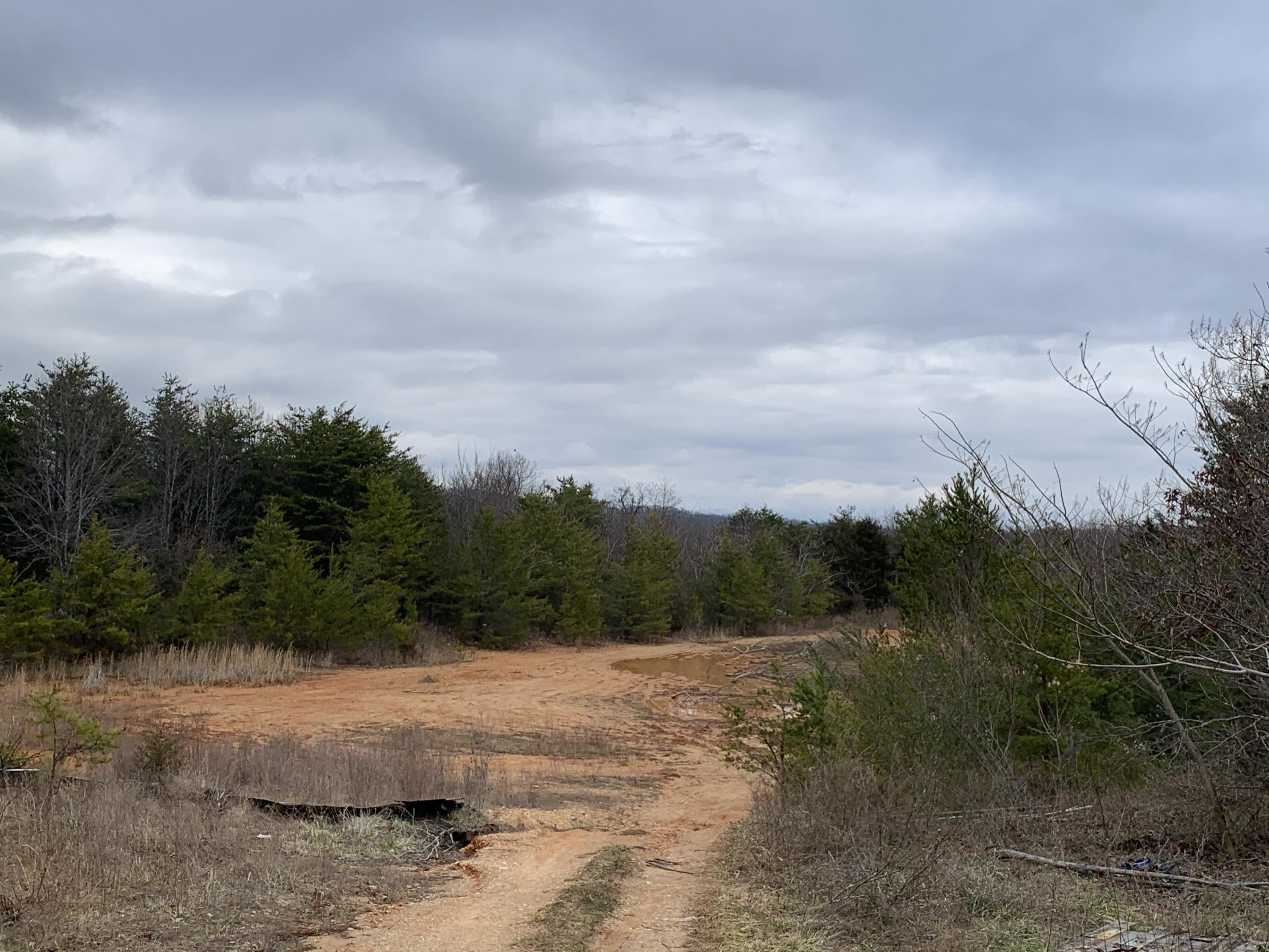 779 Landmark Road Jacksboro, TN 37757 - Photo 12 of 14 6F4D1A25-63A5-436E-8AE2-849869C0DF06