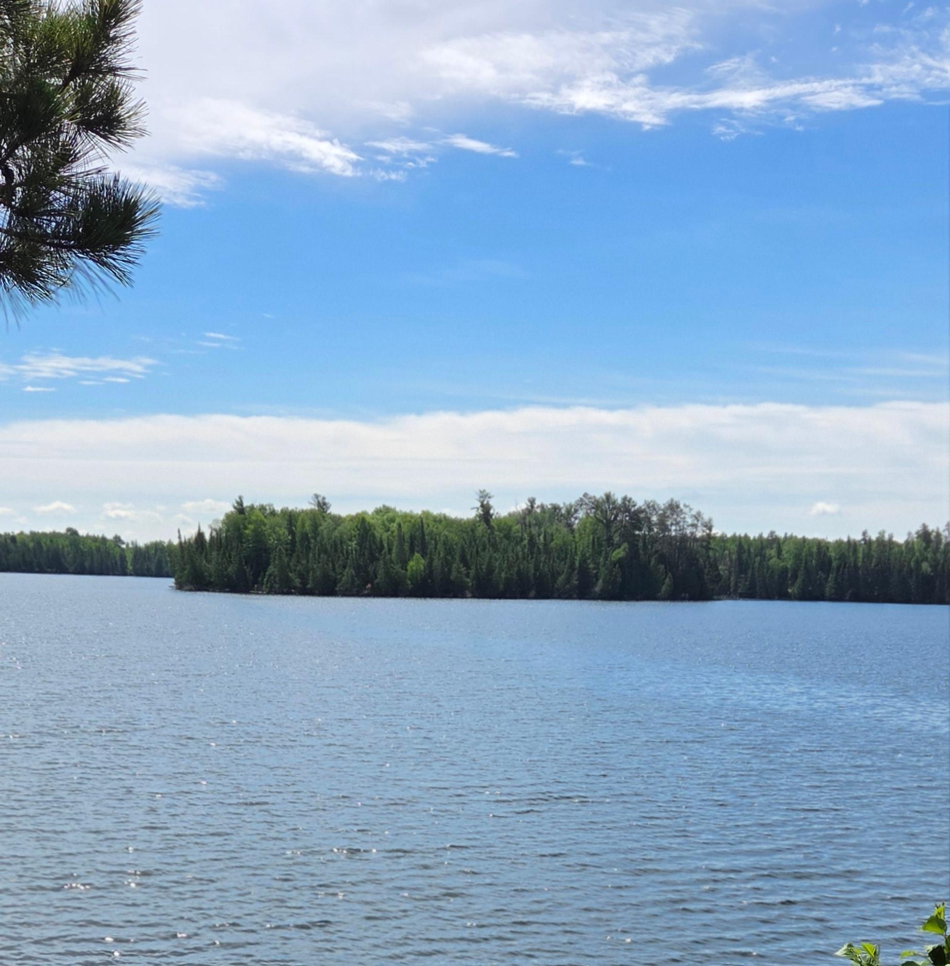 51946 North Wasson Lake Road Bigfork, MN 56628 - Photo 51 of 52