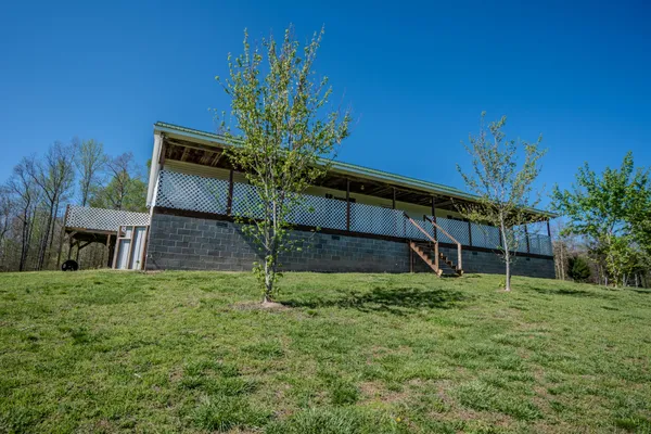 a house that has a tree in it