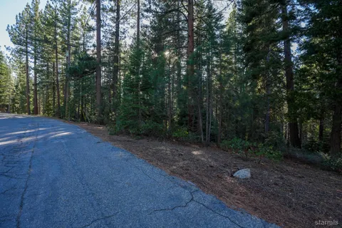 a view of a dirt road with trees in the background