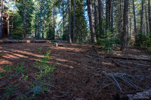 a view of outdoor space with trees