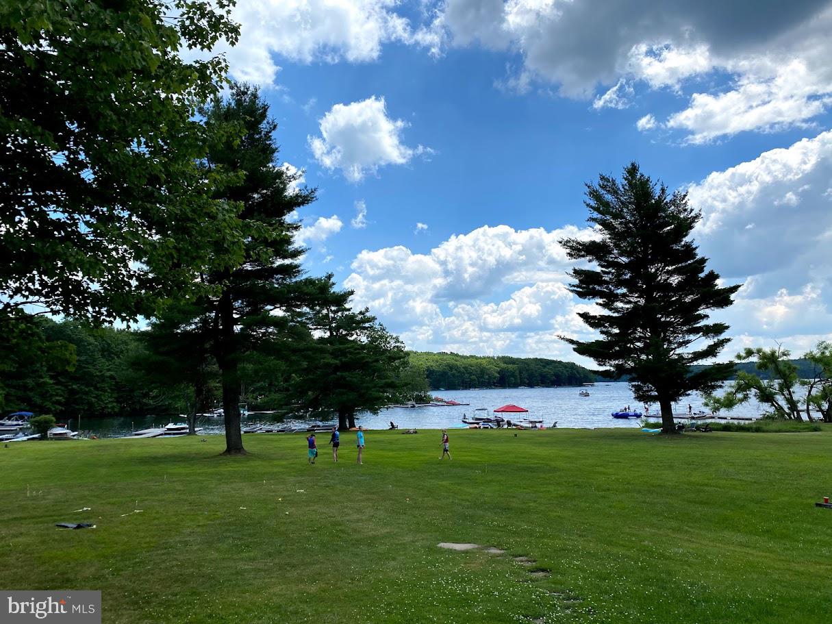 390 Glen Cove Road Swanton, MD 21561 - Photo 3 of 66