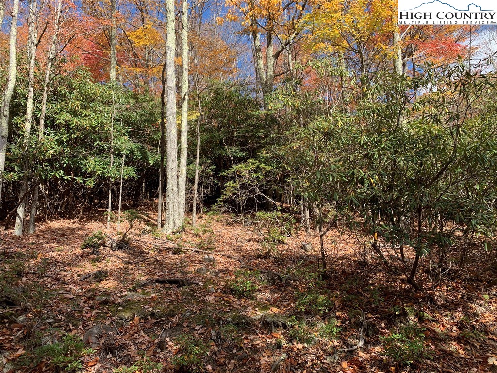 216 Oak Road Beech Mountain, NC 28604 - Photo 2 of 5 Gallery Image 2