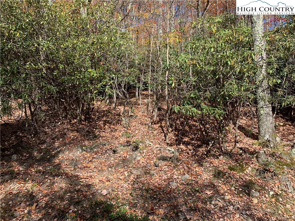 216 Oak Road Beech Mountain, NC 28604 - Photo 4 of 5 Gallery Image 4