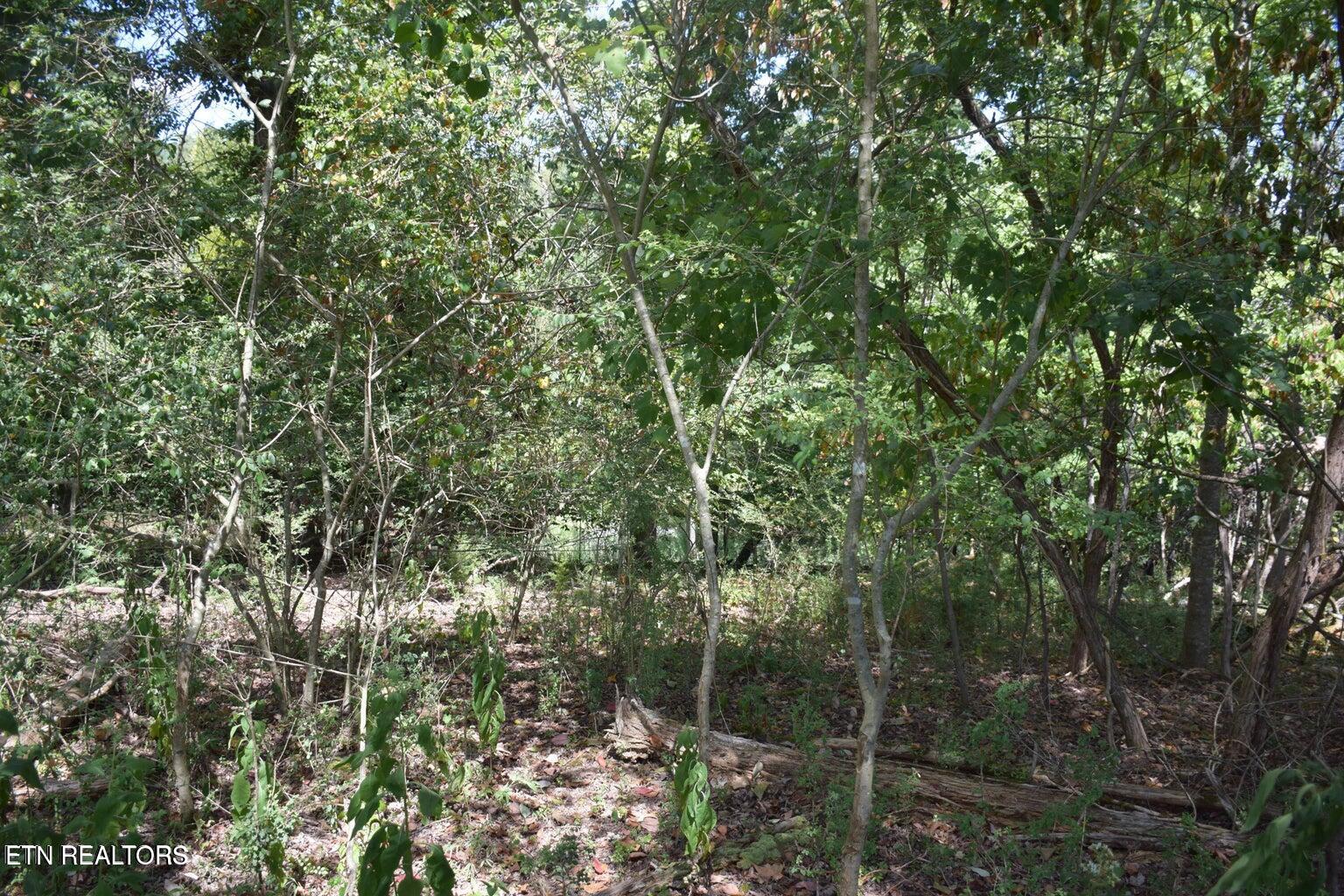 1758 Wilkerson Road Lenoir City, TN 37772 - Photo 3 of 8 Pic 3