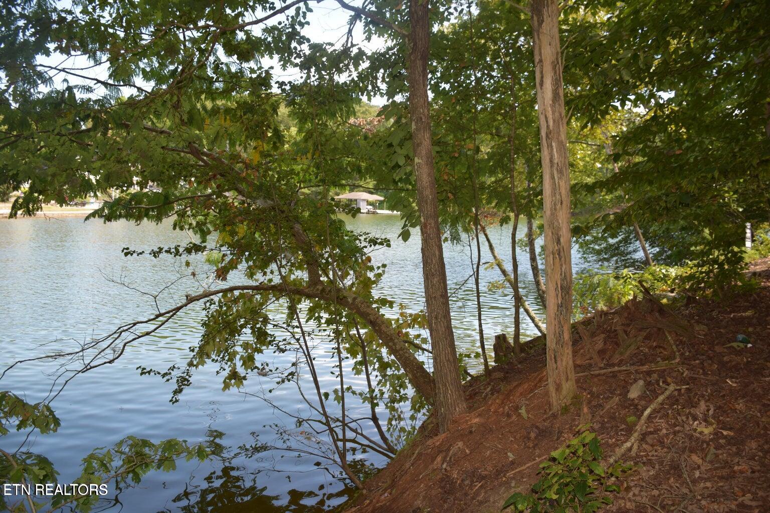 1758 Wilkerson Road Lenoir City, TN 37772 - Photo 4 of 8 Pic 4