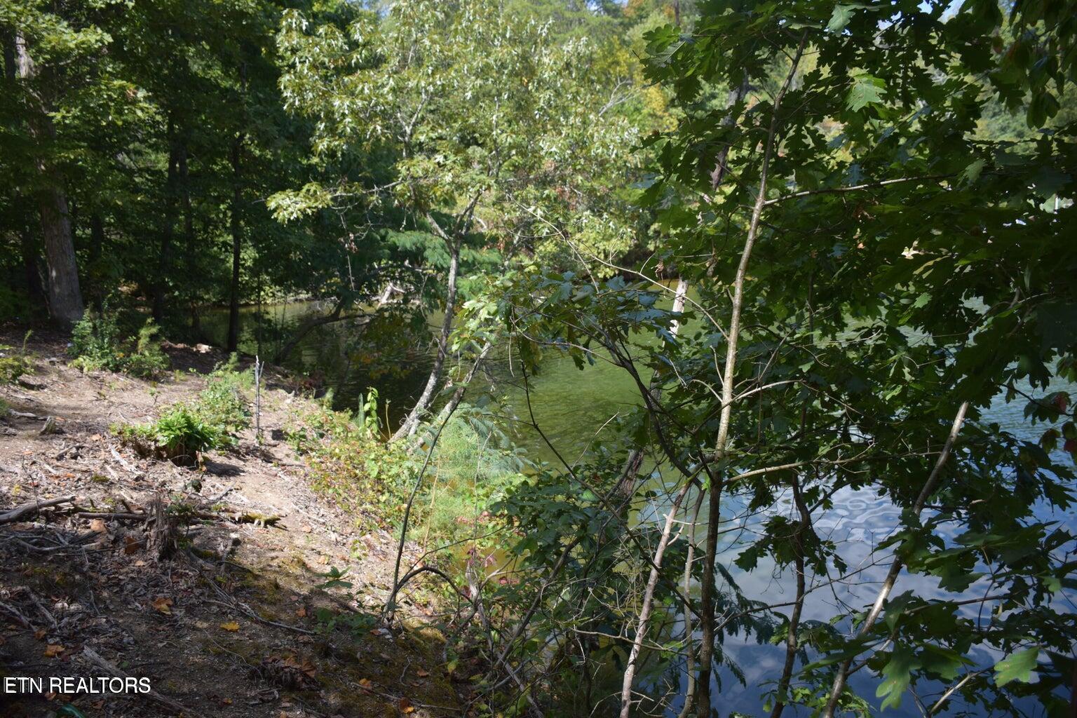 1758 Wilkerson Road Lenoir City, TN 37772 - Photo 5 of 8 Pic 5