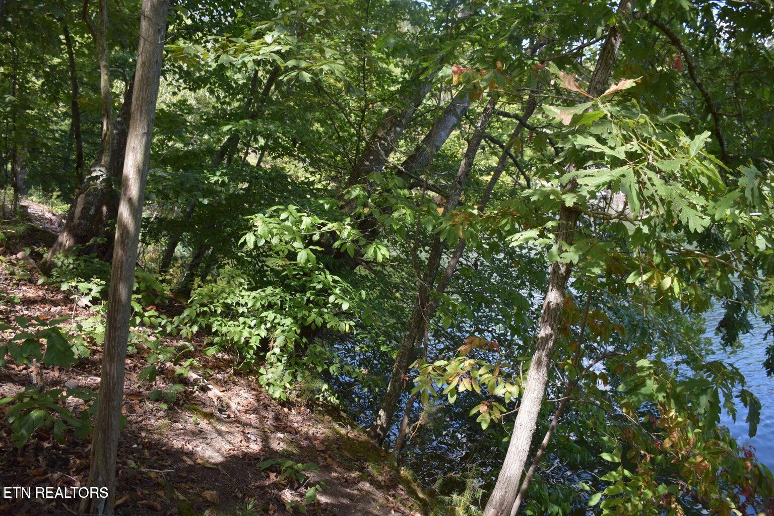 1758 Wilkerson Road Lenoir City, TN 37772 - Photo 6 of 8 Pic 6
