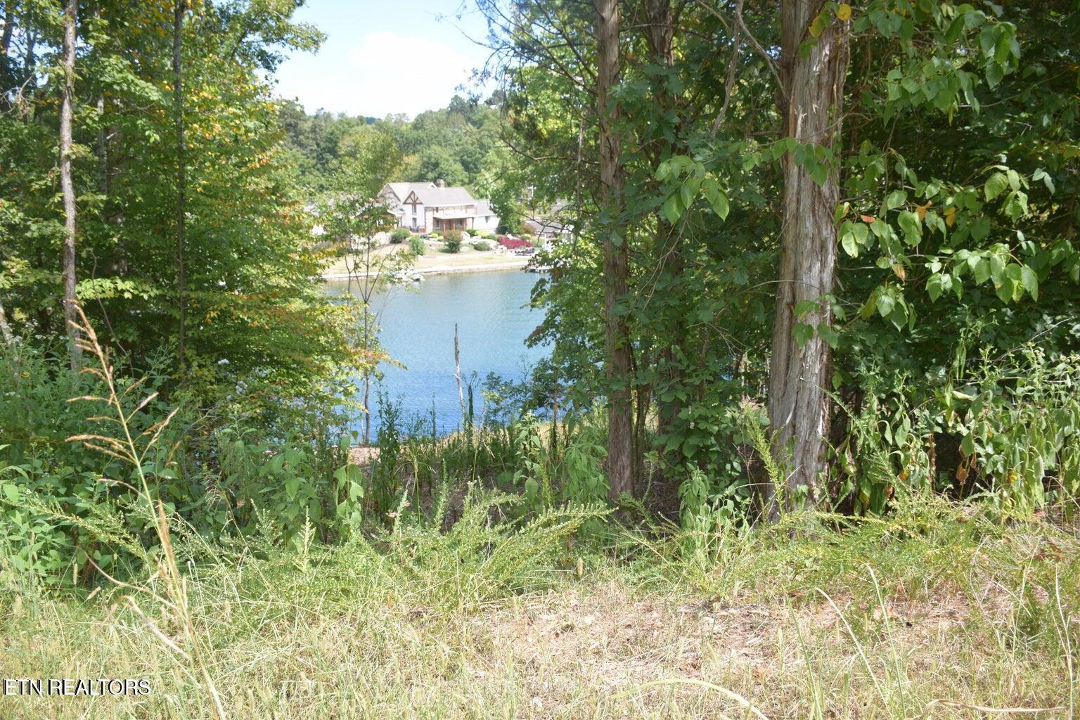 1758 Wilkerson Road Lenoir City, TN 37772 - Photo 8 of 8 Pic 8