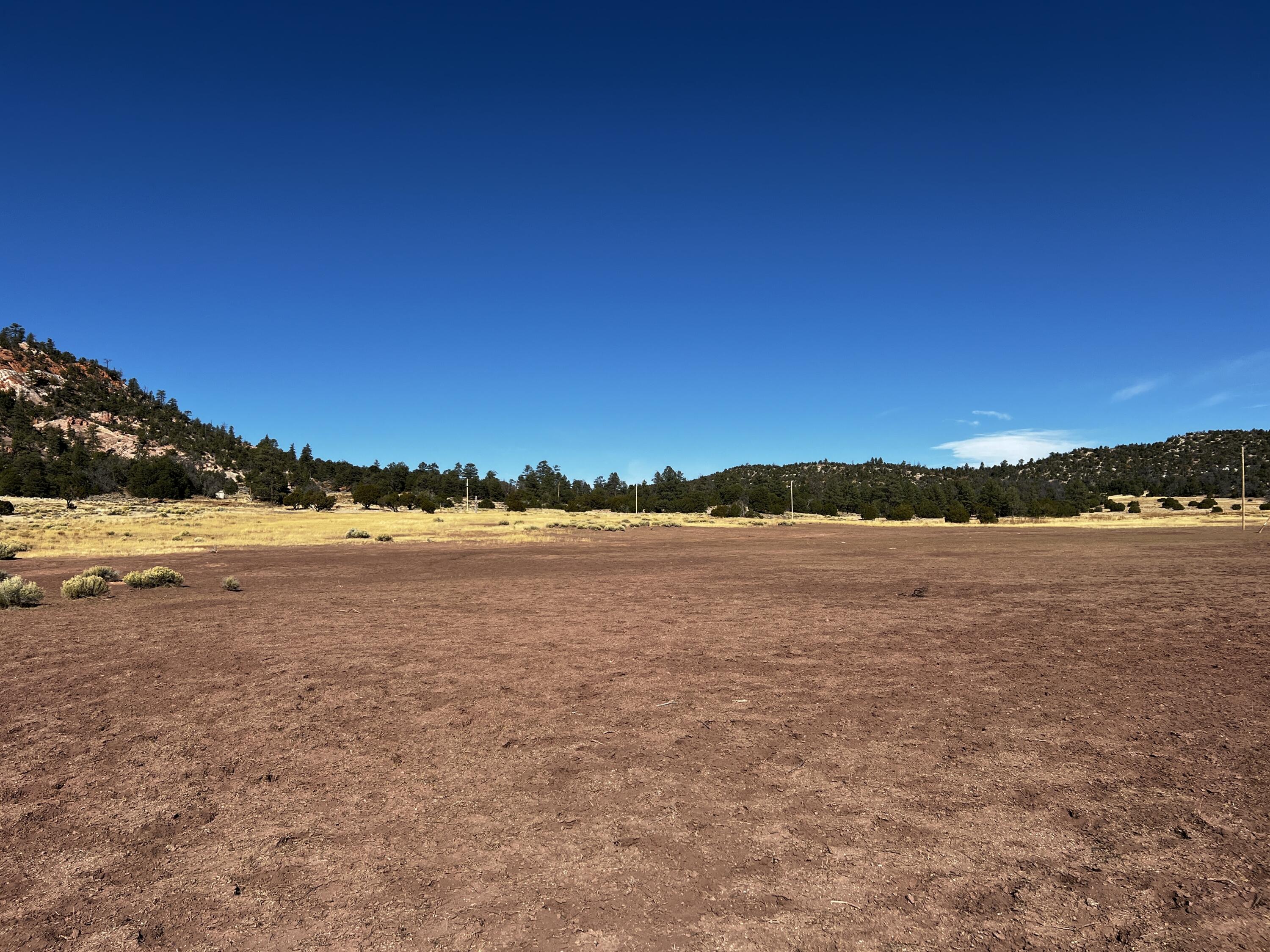 Lot 2 Lot Road Ramah, NM 87321 - Photo 17 of 21 Gallery Image 17