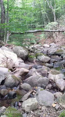 $46,000 | 85 Summit Drive, Hague, NY 12836