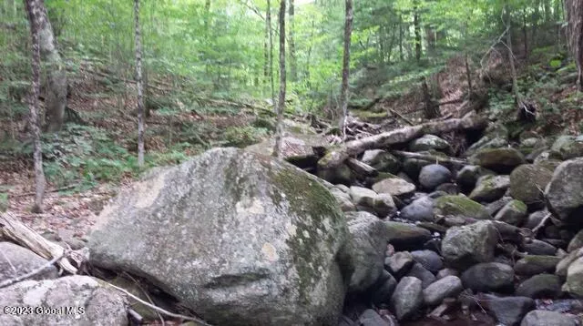 $46,000 | 85 Summit Drive, Hague, NY 12836