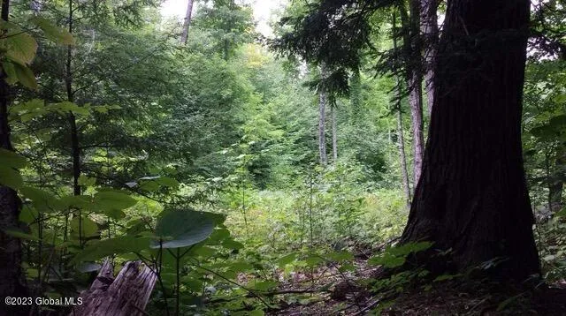 $46,000 | 85 Summit Drive, Hague, NY 12836