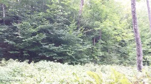 $46,000 | 85 Summit Drive, Hague, NY 12836