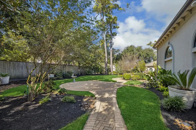 a view of a yard with plants and large trees