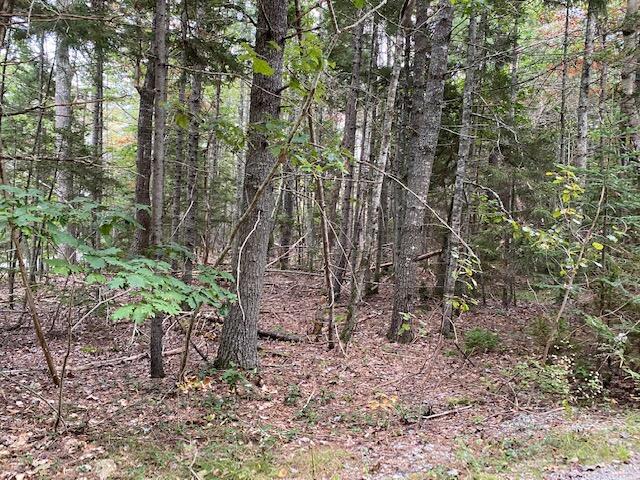 101 East Riverview Road Pemaquid, ME 04558 - Photo 2 of 7 Riverview4