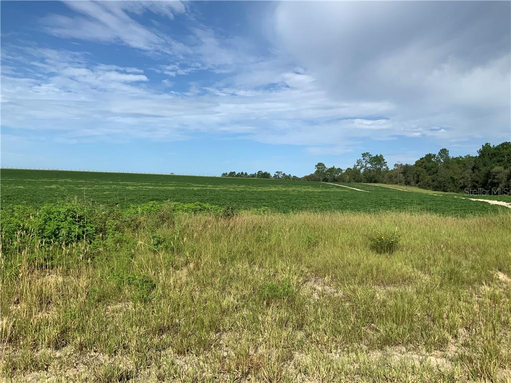0 Southeast 136th Terrace Unit Lot 1  