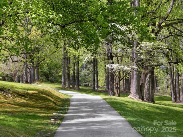 a view of a park with large trees