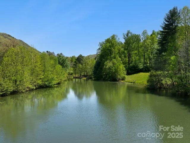 a view of a lake with a mountain in the background