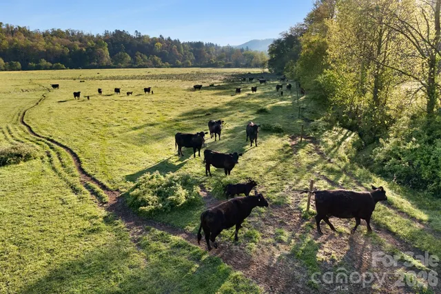 $16,200,000 | 3903 Island Ford Road, Brevard, NC 28712