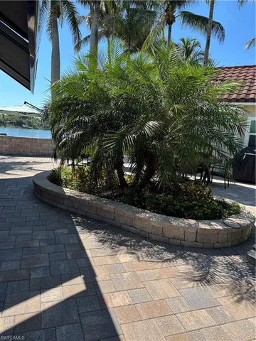 a view of a yard with plants