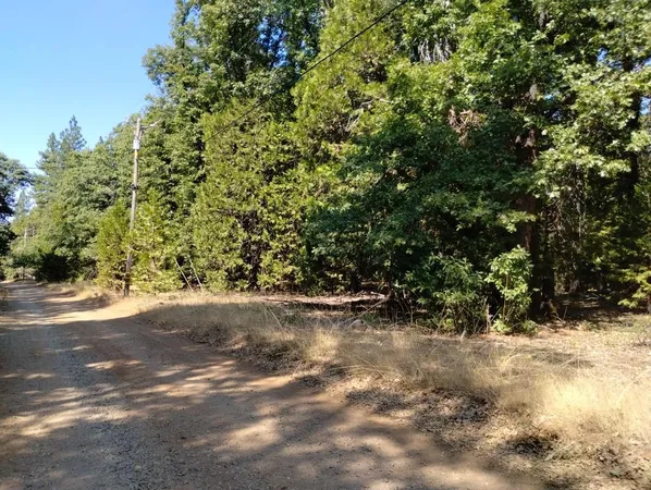 a view of a yard with a tree