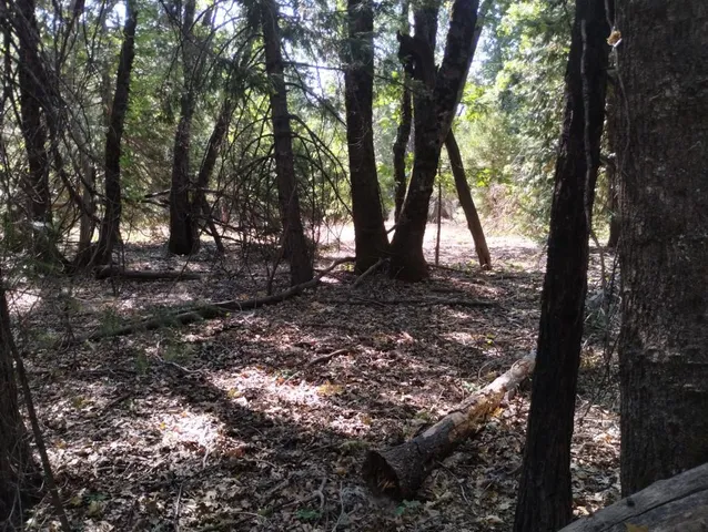 a view of a house with backyard