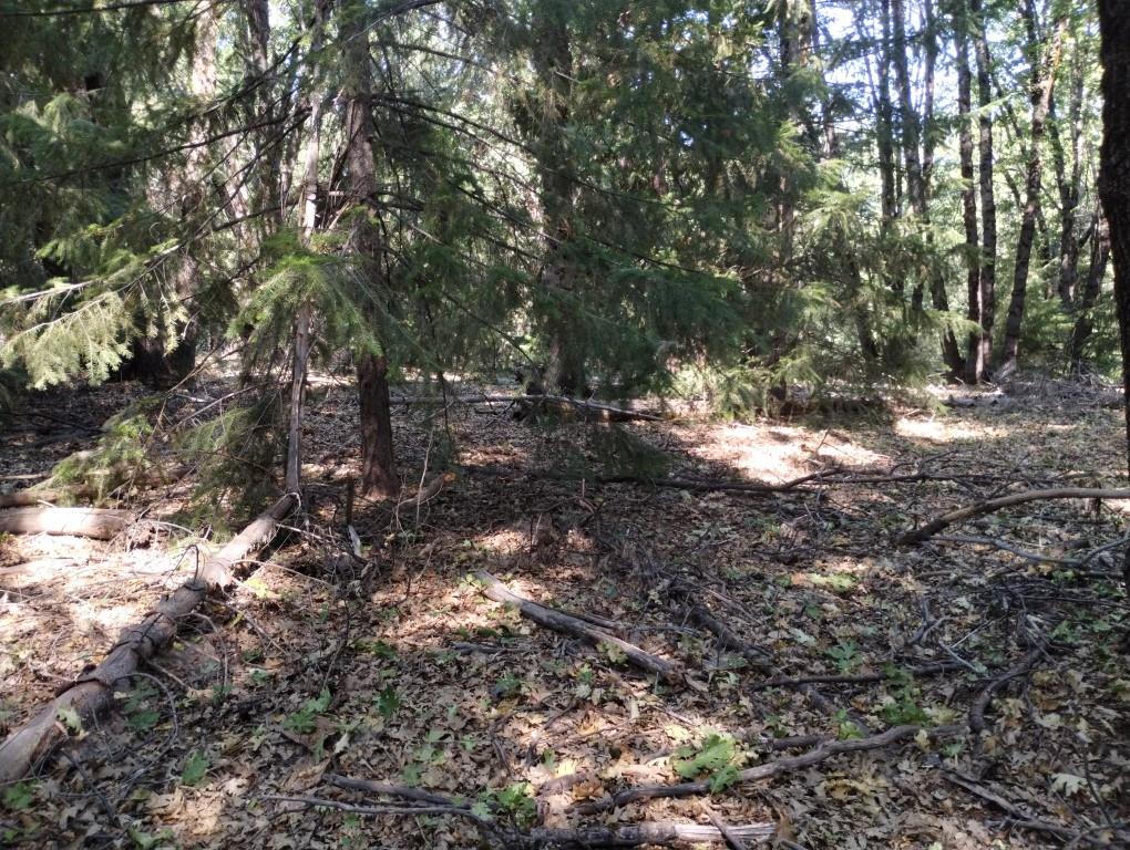 13762 Lightning Tree Road Nevada City, CA 95959 - Photo 14 of 21