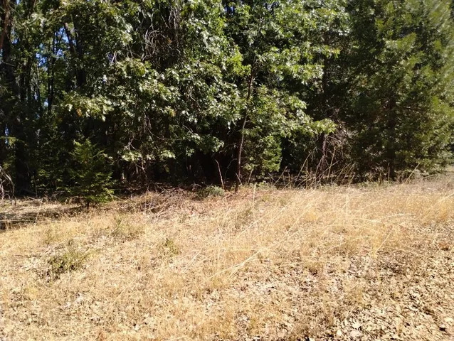 a view of outdoor space with trees