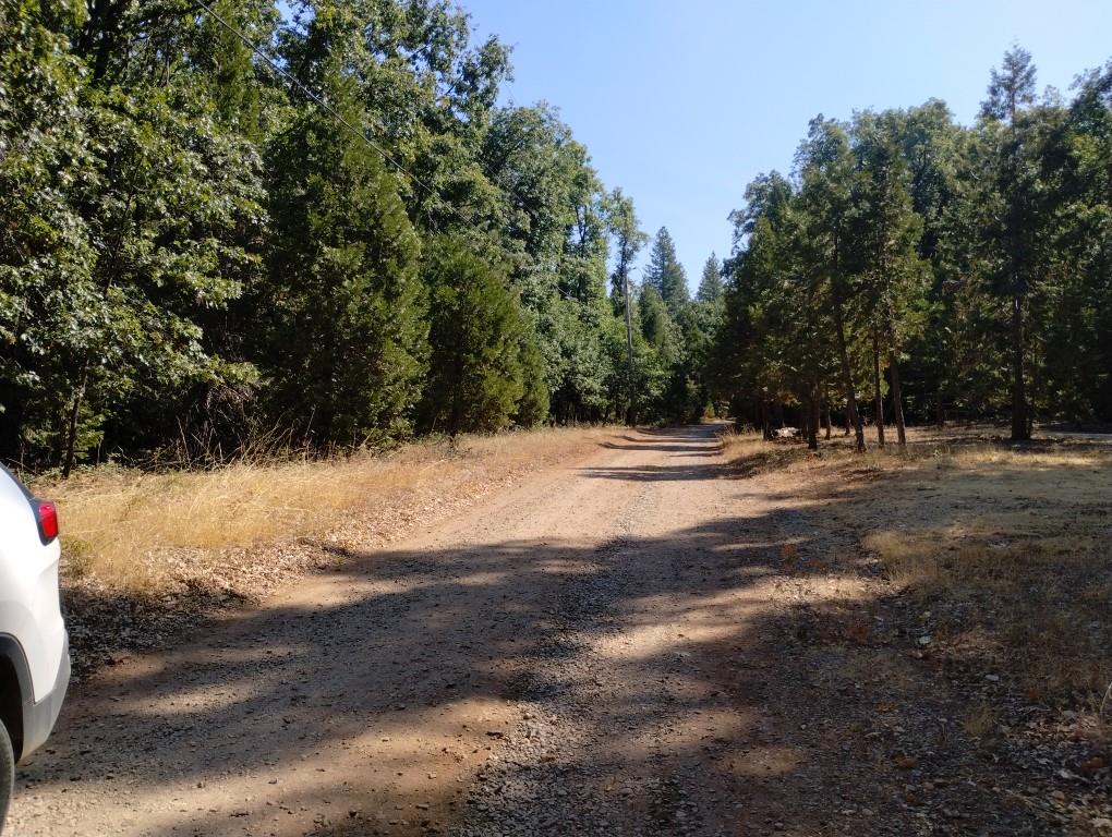 13762 Lightning Tree Road Nevada City, CA 95959 - Photo 2 of 21 a view of road with trees