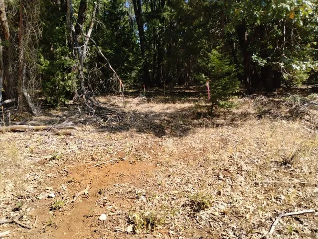 $157,000 | 13762 Lightning Tree Road, Nevada City, CA 95959